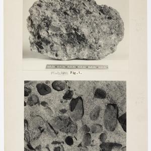 Item 1513: Sedimentary rocks. General view of the arkos...