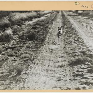 File 05: Walkabout magazine : Western Australian photog...