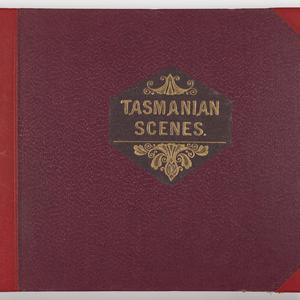 Tasmanian scenes [album of photographs, ca. 1885-1890]