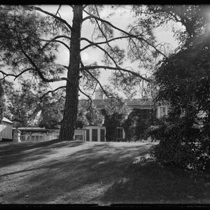 Item 377: Dame Eadith Campbell Walker / photograph by H...