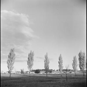 File 17: [Canberra, views and buildings, 1941-1951] / p...