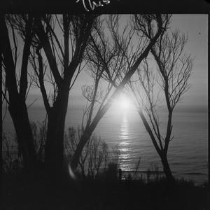 File 36: Sunrise Bungan '64, 1939 / photographed by Max...