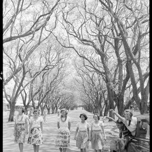 File 03: Grafton girls, [1940s-1950s] / photographed by...