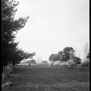 File 13: Canberra, [1941-1948] / photographed by Max Du...