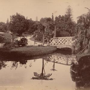 Botanic Gardens, Sydney, N.S.W. [rustic bridge over Bot...