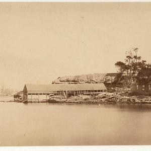 [Green's boat yards, Milsons Point, Sydney Harbour]
