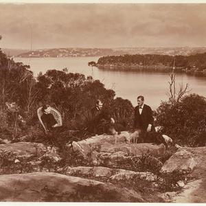 [Cremorne Point, Sydney Harbour / attributed to the pho...