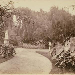 Botanic Gardens [Sydney]