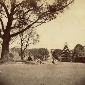 Scene in Sydney Domain / [attributed to Charles Pickeri...