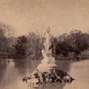 [Sydney Botanic Gardens : Venus Fountain, Main Pond, Lo...