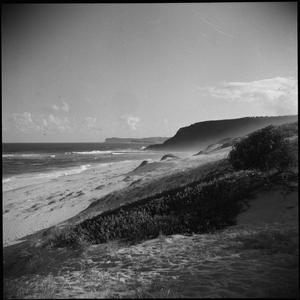 File 01: McMasters [Macmasters] beach, February 1954 / ...