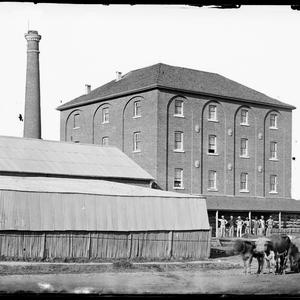 Dalton Bros. Flour Mill, Orange, N.S.W.