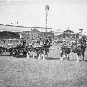 Australian Glass Co.'s four-horse lorry