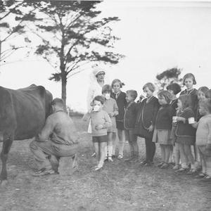 Children drink milk from a cow being milked, Dalwood Ho...