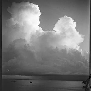 File 01: Darwin, 1940s [1942-1943] / photographed by Ma...