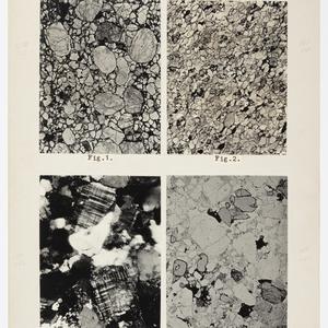 Item 1514: Sedimentary rocks. Microphotograph of the sa...