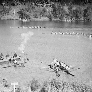 GPS Regatta at Penrith, Nepean River