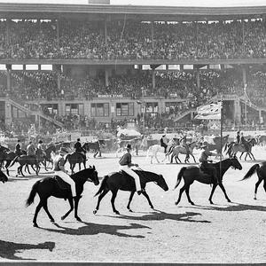 Royal Agricultural Show