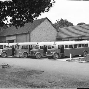 Buses at Hornsby