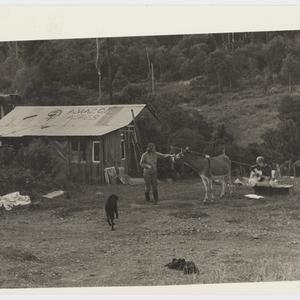 Heather Anne Grey photographs, 1960s-1988