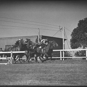 Randwick trials for Spring Meeting