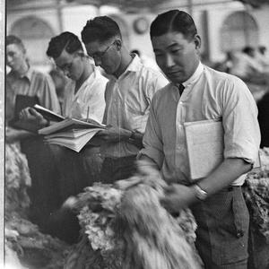 Japanese wool buyers
