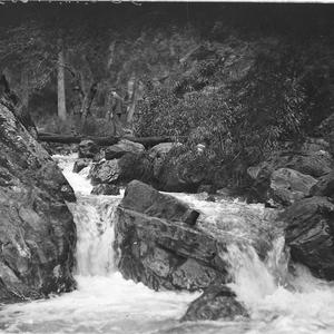 Sightseers walking over log-crossing of a creek, Jenola...