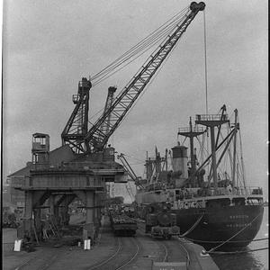 Ships "Iron Derby" and "Baroota" loading, BHP wharf