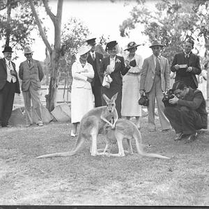 Zane Grey, Lillian Pertka & party at Koala Park
