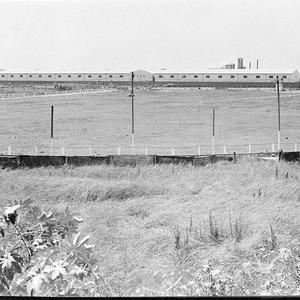 Munro's dog oval, St Peters