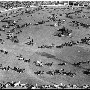 Royal Agricultural Show