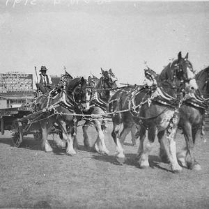 The four-horse Clydesdale lorry event