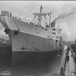 "Triona" in dock, British Phosphate Co's bulk carrier