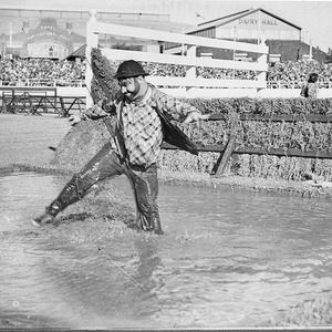 Royal Agricultural Show