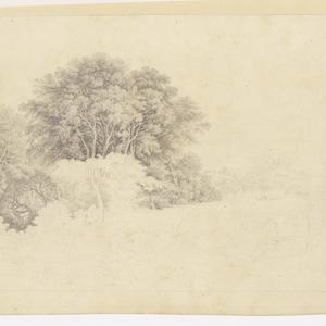 Trees and houses near water / possibly by H. C. Allport