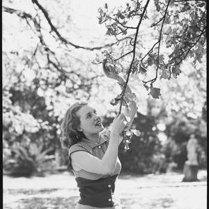 Girl in gardens - Autumn scenes, 11 May 1936