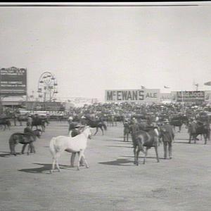 Horses and ponies in the Grand Parade, Royal Agricultur...