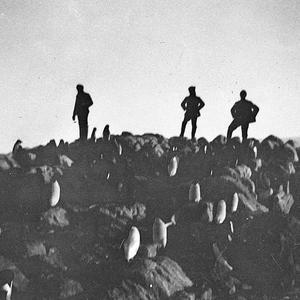 Q448: Sailors amongst the penguins at Cape Denison / Ha...