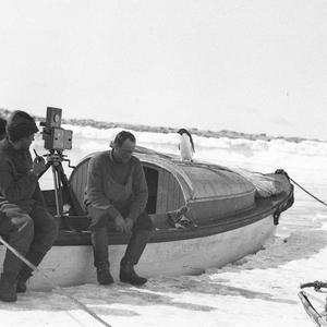 H599: Penguin visitor to motor launch at the ice front,...