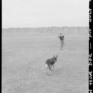 "How to train your dog" - Lidcombe, July 1958 / photogr...