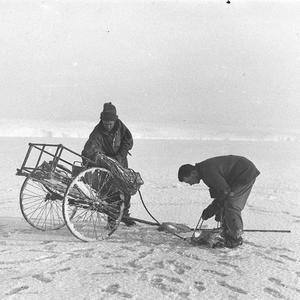 C241: Laseron and Hunter with hand cart containing dred...