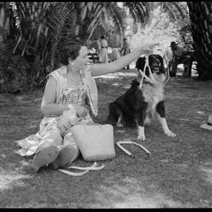 Training of guide dogs and owners - Perth, February 195...