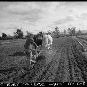 Hawkesbury Agricultural College, Windsor, 27 June 1957 ...