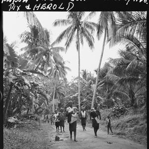 Papua and New Guinea, July 1960 / photographs by Lynch