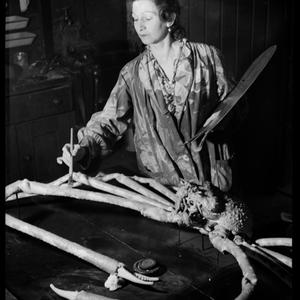 At Museum, 8 April 1940 / photographs by R. Donaldson