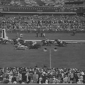 H.J.C. Derby, 1957 at Randwick Racecourse