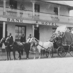 Local coach - four in hand - Bega, NSW