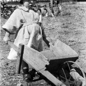 Child with Wheelbarrow on 'Pinegrove' - Ariah Park, NSW