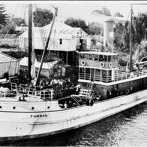 SS Tamban at Macleay River Co-op Wharf - Kempsey, NSW