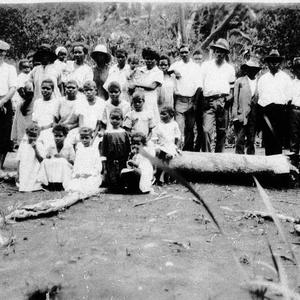 At a sawmill north of Townsville, QLD